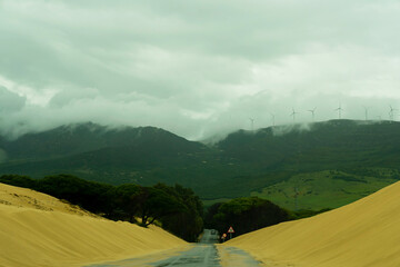 Road through sand dunes near Punta Paloma beach. Tarifa, Cadiz Province, Andalusia, southern Spain, Europa.