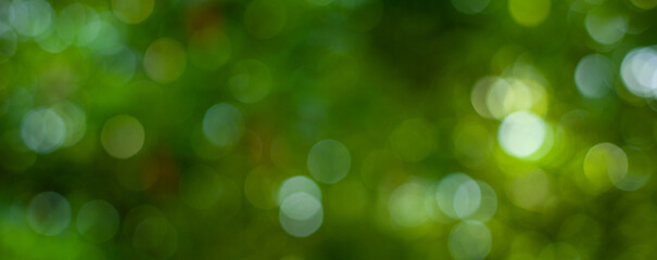 abstract circular green bokeh background, green nature spring and nature light in blurred style, cop