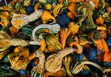 Colorful Gourds For Sale At The Market