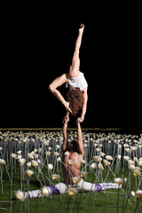 Wall Mural - Man and woman doing acrobatic pose together in the roses  isolated on black background