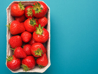 Fresh organic strawberries, view from above, blue background space for text