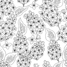 Lilac Flower Graphic Black White Seamless Pattern Background Sketch Illustration Vector