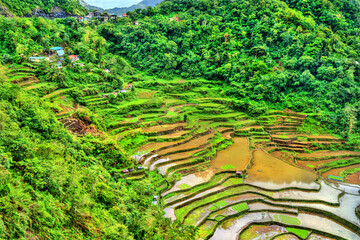 Canvas Print - Bangaan Rice Terraces - Luzon, Philippines