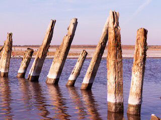 Petrified salt made dry red estuary. The water has receded far into the result of the strong summer drought. Ecological catastrophy. The destruction of nature. Kuyalnik in Odessa, Ukraine.