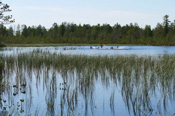 Holidaymakers bathe lake. Bathers in the lake splash. Northern s