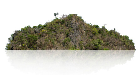 Wall Mural - rock mountain with forest isolate on white background