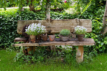 Decorative weathered wooden garden bench with ornamental tabs, plants and rose flowers. In the background is green English ivy Hedera helix and green grass.