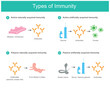 Types of Immunity. Illustration for education medical use about types of human immunity from natural and And synthetic such as vaccine or serum..