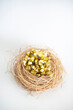 many golds in nest