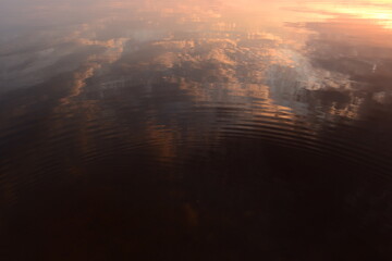 Wall Mural - Mirror surface of the water lake reflects the sky in the sunset