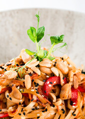 Wall Mural - italian pasta closeup macro