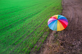 Fototapeta Tęcza - Tęczowa parasolka na polu 