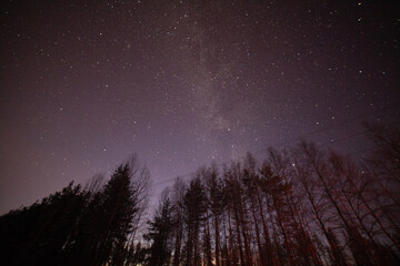 Arctic Night