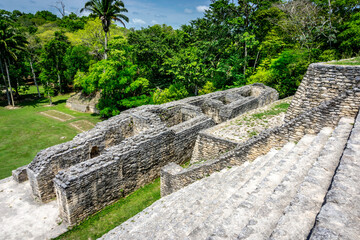 Wall Mural - Caracol Temple  near San Ignacio in Belize near Guatemala.