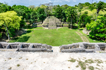 Wall Mural - Caracol Temple  near San Ignacio in Belize near Guatemala.