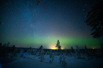 Arctic Night
