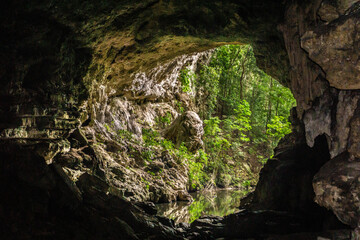 Wall Mural - Rio Frio Caves and Cave Waterfalls in Belize.