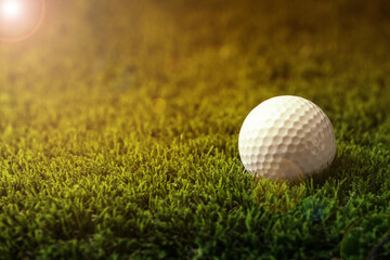 Wall Mural - Golf ball in park on sunny day. Space for design