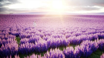 Wall Mural - Astronaut with butterflies in lavender field. concept of future. broadcast. Realistic 4k animation.