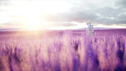 Wall Mural - Astronaut with butterflies in lavender field. concept of future. broadcast. Realistic 4k animation.