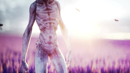 Wall Mural - Alien with butterflies in lavender field. concept of UFO. Realistic 4k animation.
