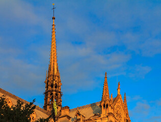 Wall Mural - Details of the ornate gothic spire viewed from the southern side of Notre Dame de Paris Cathedral in the warm light of sunset