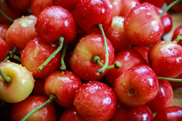 Wall Mural - delicious juicy cherries in drops of water