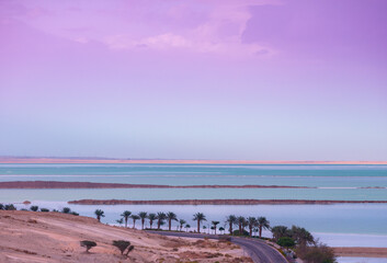 Fototapete - Dead Sea in the morning. Palm trees on the beach. Beautiful sea nature landscape. Israel