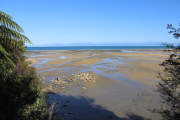 Canvas Print - Baie du parc Abel Tasman, Nouvelle Zélande	