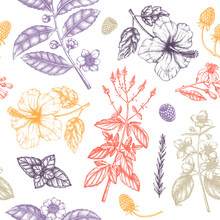 Herbal Tea Seamless Pattern. Hand Sketched Fruits, Herbs, Flowers, Berries, Leaves Backdrop. Vector Botanical Illustration. Perfect For Recipe, Menu, Label, Icon, Packaging, 