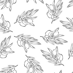 Wall Mural - Seamless pattern with branches of an olive tree. Hand drawn vector illustration in line art style, isolated on a white background.