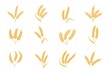 Wheat and rye ears. Harvest stalk grain spike icon. Elements for organic food logo, bread packaging or beer label. Isolated vector silhouette set