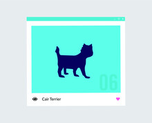 Cair Terrier