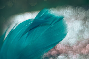 Poster - Close up Beautiful blue Bird feather pattern on a bokeh background for design texture.