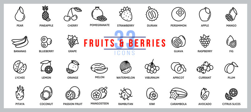 Set of icons fruits and berries. Outline illustration vector. Pictogram for web page, mobile app, promo. UI UX GUI design element. Editable stroke. Vector.