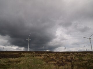 Wall Mural - Wind Farm in Scotland