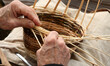 elderly craftsman while weaving a wicker basket at the market
