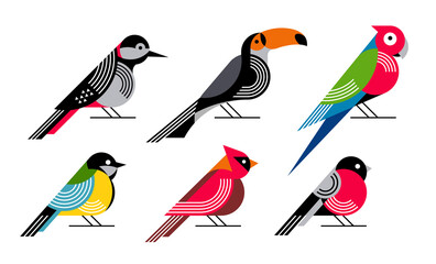 Wall Mural - birds flat vector illustration set. geometry style woodpecker, toucan, parrot, blue tit, cardinal, b