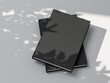© customdesigner - Two Books or Notebooks Mockup with black textured hardcover on white background outdoors