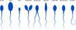Sperm morphology. Normal and abnormal sperm.