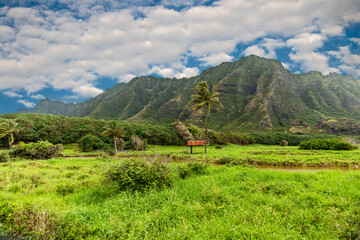 a meadow and the koolau mountan range on the north shore of the island of oahu near the village of p