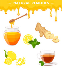 Vector set of natural remedies with   ginger root sliced, tea in glass cup, lemon, honey and honey dipper, wood stick, mint. Melting honey drops isolated on white background. Illustration of natural m