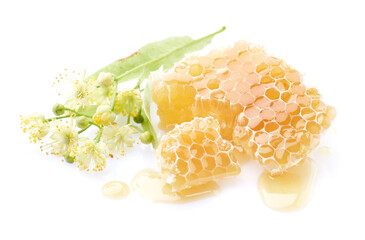 Poster - Linden flowers with honeycomb in white background