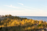 Fototapeta Paryż - summer east coast dunes sunset