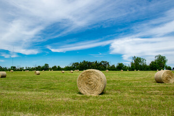 Hay Bale 2