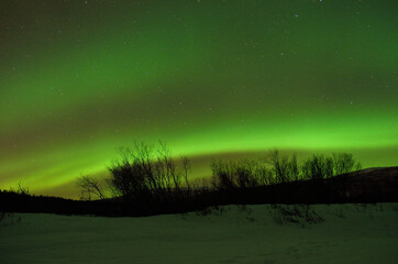 Strong vivid and vibrant aurora borealis on the night sky over cold frozen forest in december