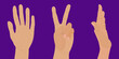 © Marina - Set of gestures and hands in different poses. Vector illustration of hands isolated on a purple background
