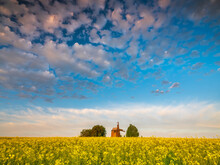 Central View To Little Wooden Windmill In Rapeseed Field Under Light Clouds In The Sky With Copy Space