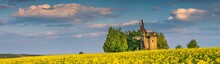 Panoramic View To Rapeseed Field Under Blue Sky With Old Wooden Windmill In Ukraine With Copy Space