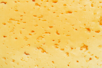 Wall Mural - Background of fresh yellow cheese with holes. Cheese texture